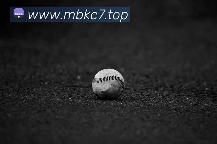 c7娱乐平台生态图